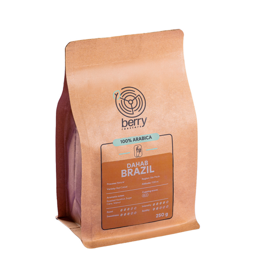 Brazil São Paulo Dahab